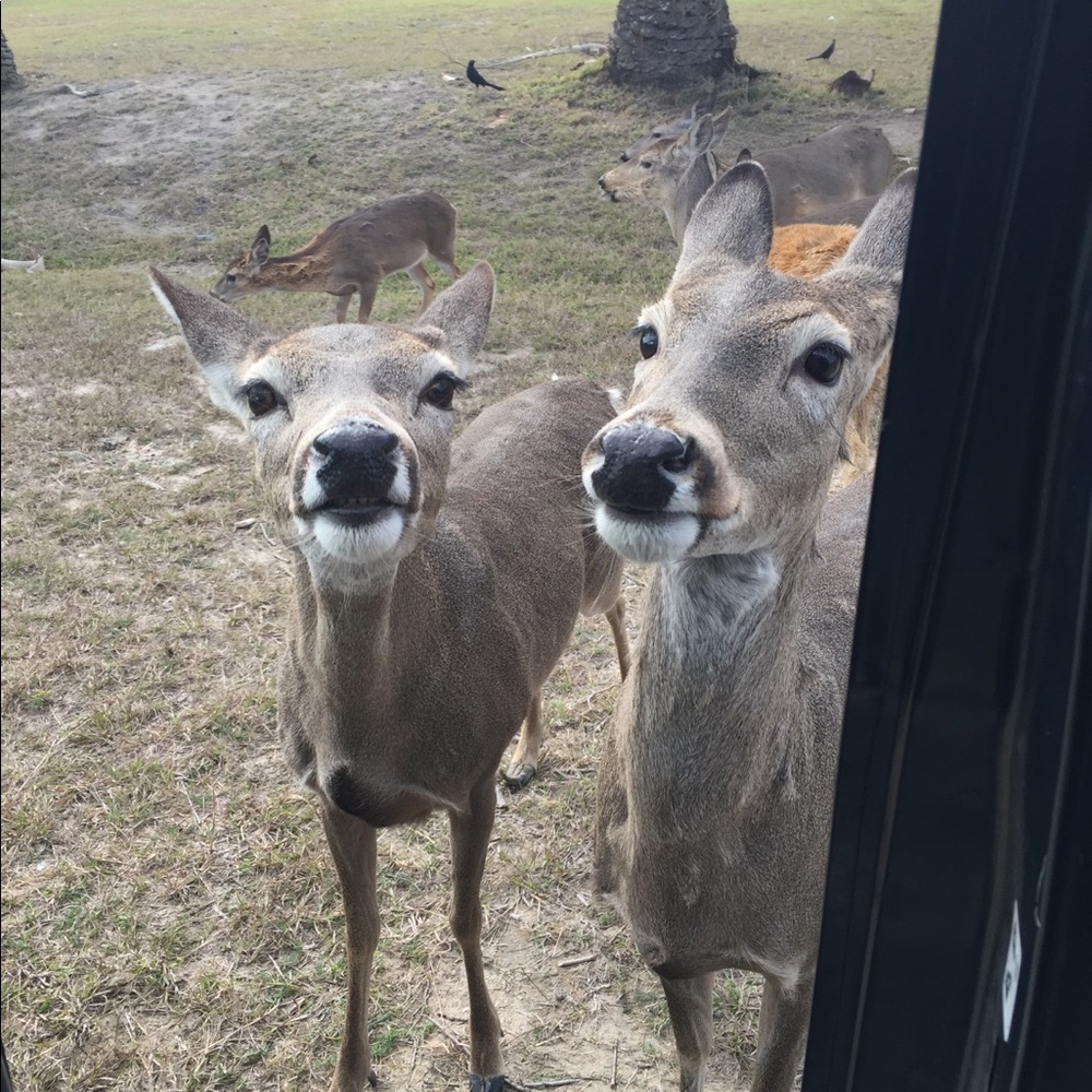Meet your Posher, Ruth